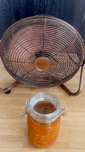 Fermentieren im Hochsommer: Ventilator vor dem Kimchi